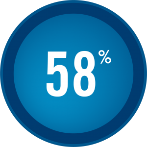 Circle with 58 per cent
