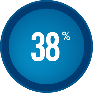 Circle with 38 per cent